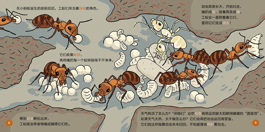 蚂蚁是怎么交流的,也会用微信吗?