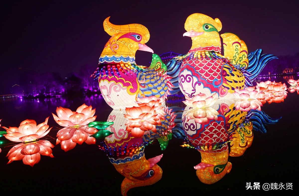 小年夜拍的大唐芙蓉园新春灯会,发出来让您看看,除夕开始闭园了