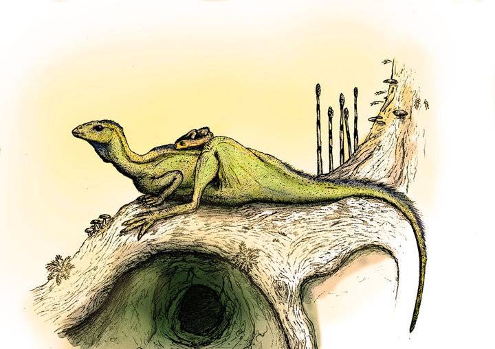 图注:掘奔龙的生活场景重现,由ashere绘制掘奔龙可能是以小家庭为单位