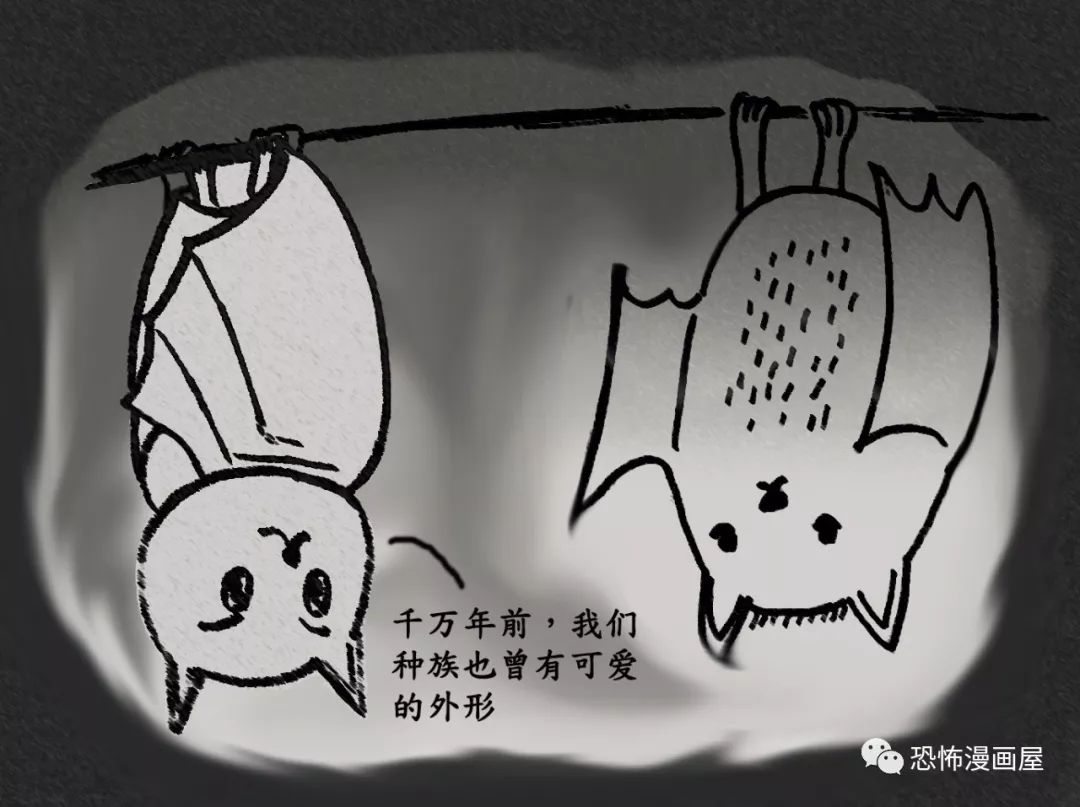 蝙蝠| 紧到说莫挨老子,老子有毒!你还是要吃老子_人类