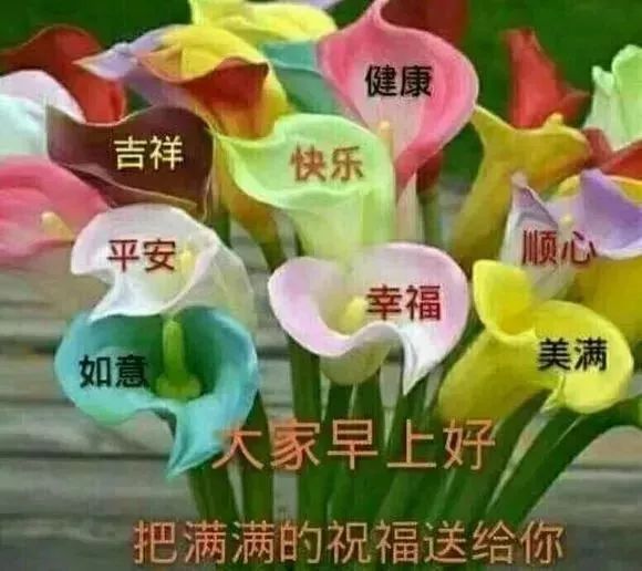 1月31日问候早上好图片带字动态表情早上好图片问候祝福语句子