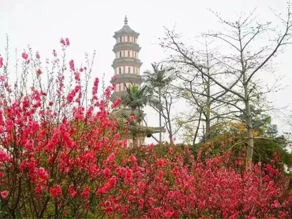 蓮花山門票:54元開放時間:24小時地址:廣州市番禺蓮花山鎮蓮花山交通