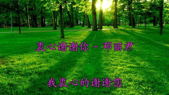 邓丽君衷心的谢谢你超级好听