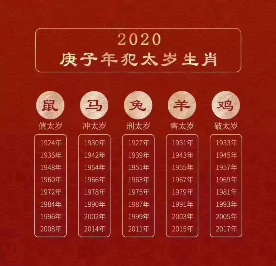 鼠年是什么年图片