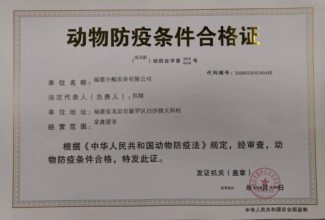 抗击疫情,保障供应,新罗区白沙镇散养鸡公共屠宰中心与您在一起!_检疫