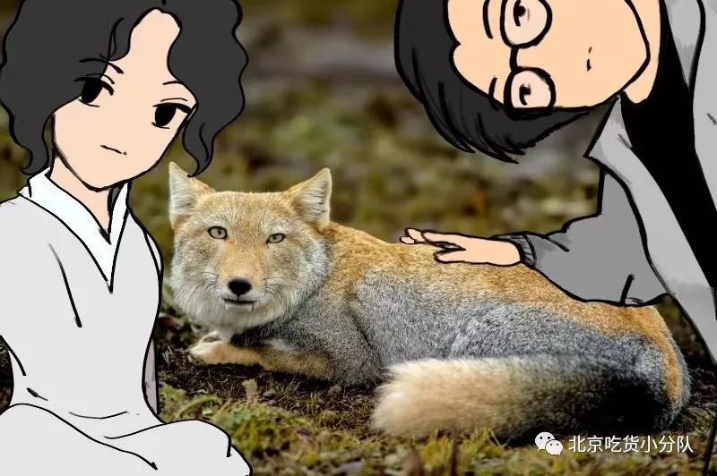 你在家都做什么