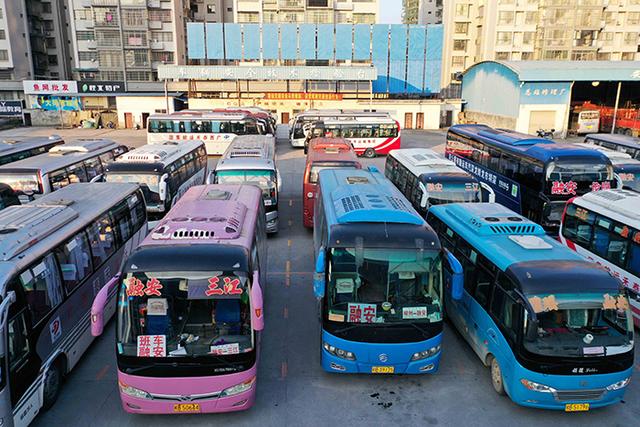 1月29日,在廣西柳州市融安縣汽車站,部分停運的客運班車在停車場有序