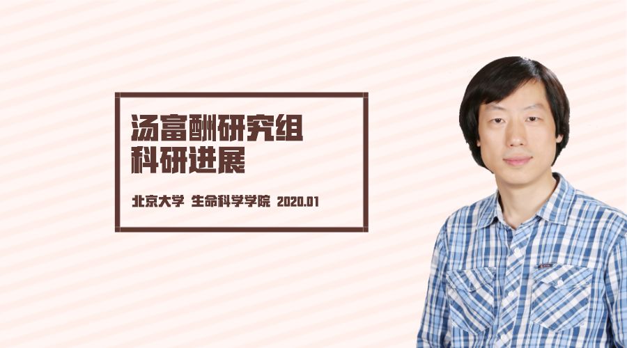 Cell|汤富酬组与合作实验室共同揭示灵长类卵巢衰老的分子标记物_研究
