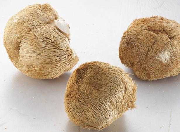 猴头菇属于山珍类东西,是我国著名的八大山珍之一,可以与海参,熊掌