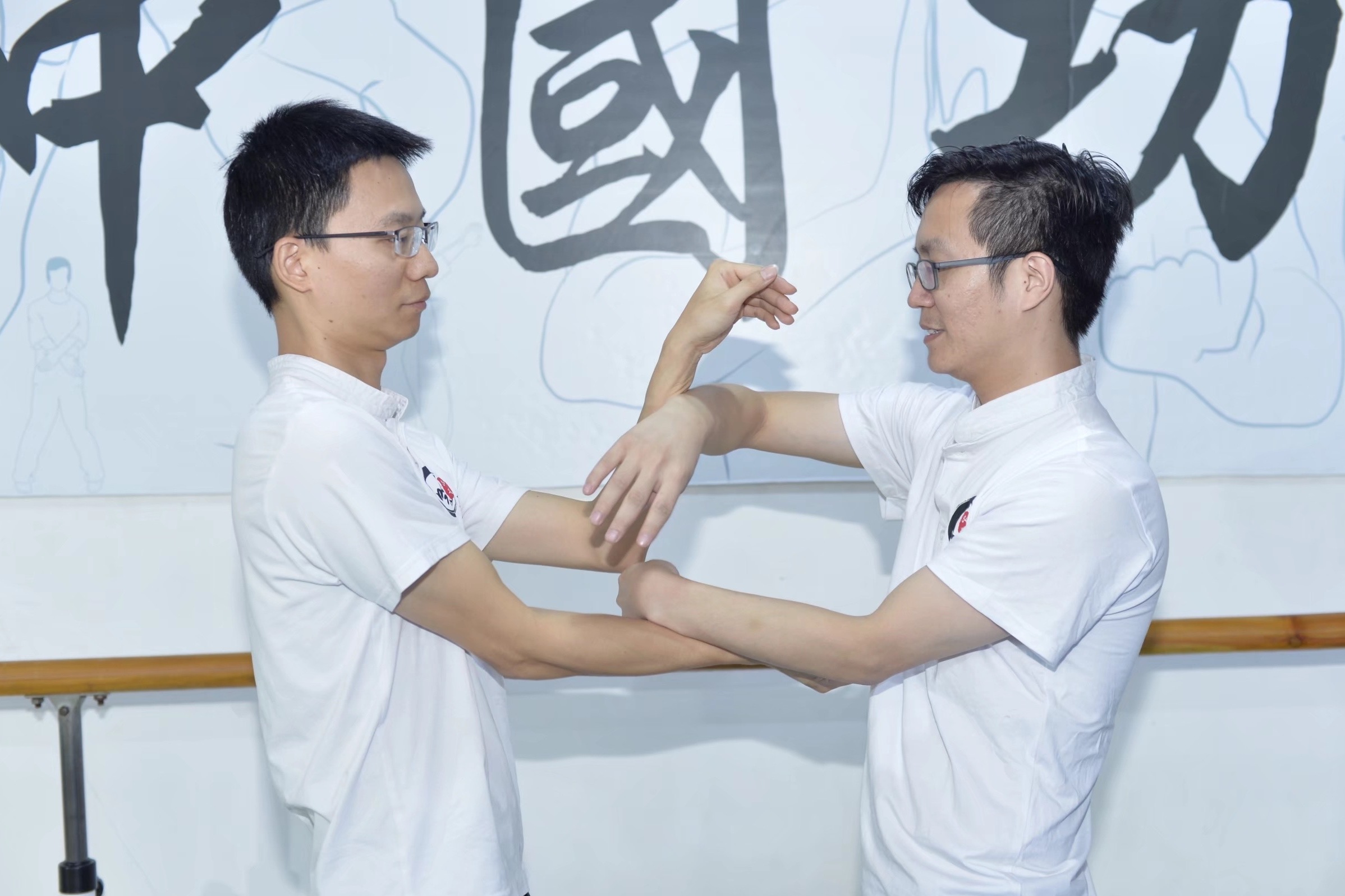 叶问系咏春拳传承的个人展示页