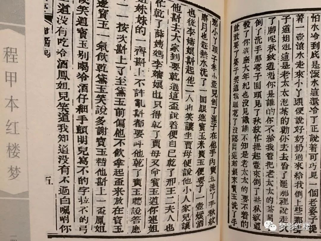 宝玉洗了手,那小丫头子拿小壶儿倒了沤子在他手内,宝玉洗了手.