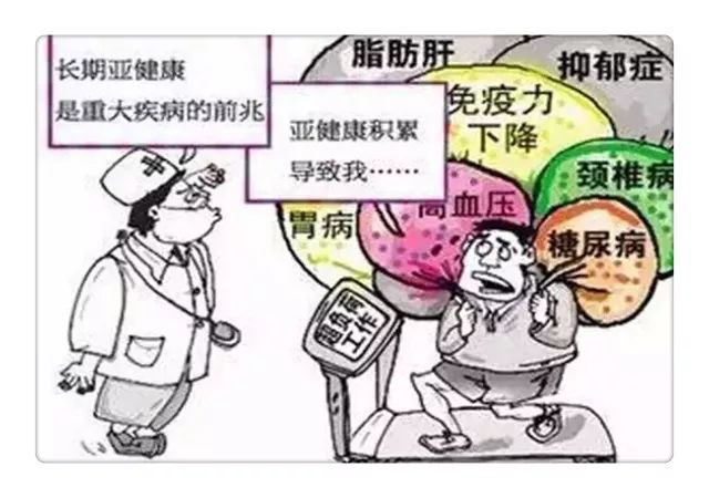 健康咨询业的新风向：数字化转型与专业升级