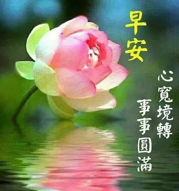 ϺܰʺͼƬϺ簲̬