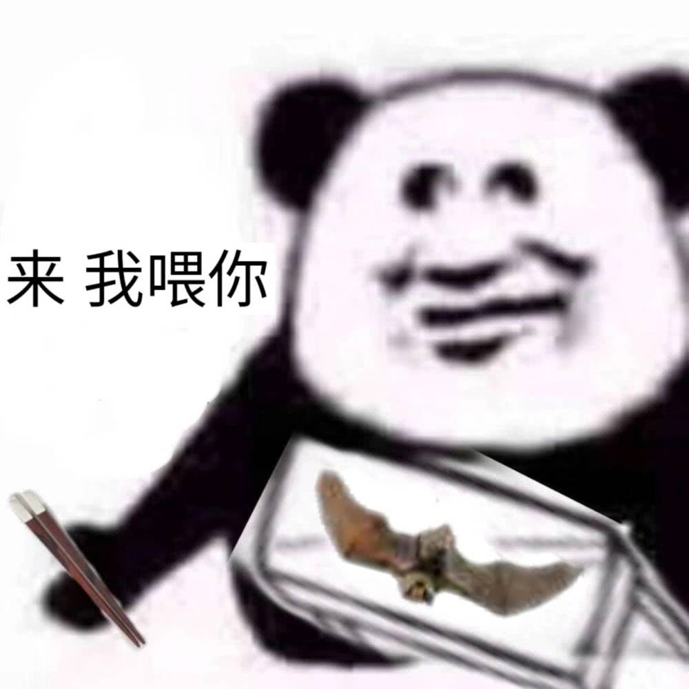 关于蝙蝠的表情包