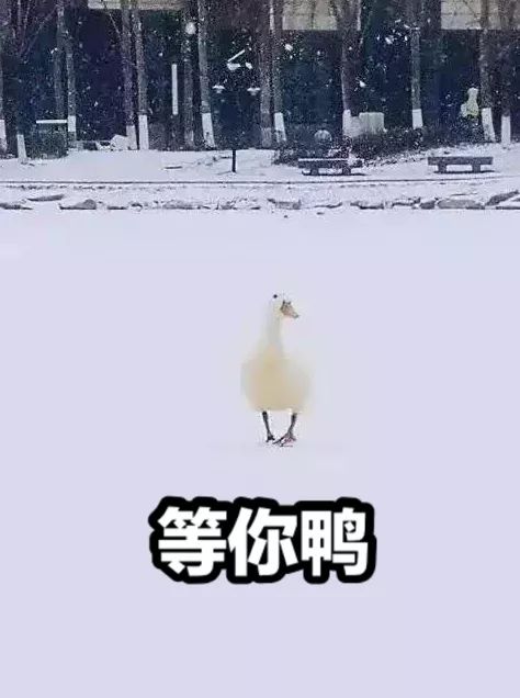 利用宅在家里的假期提升个人魅力攻略