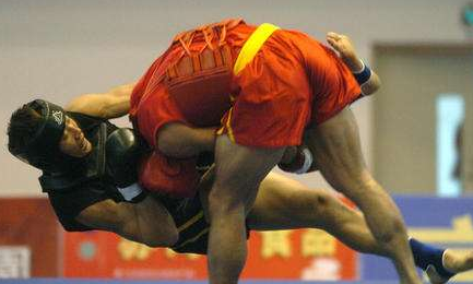 打断柳海龙胳膊,力挫宝力高暴打泰拳王的他,才是自由搏击第一人