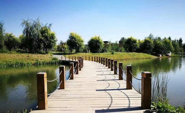 庆阳海绵湿地公园图片