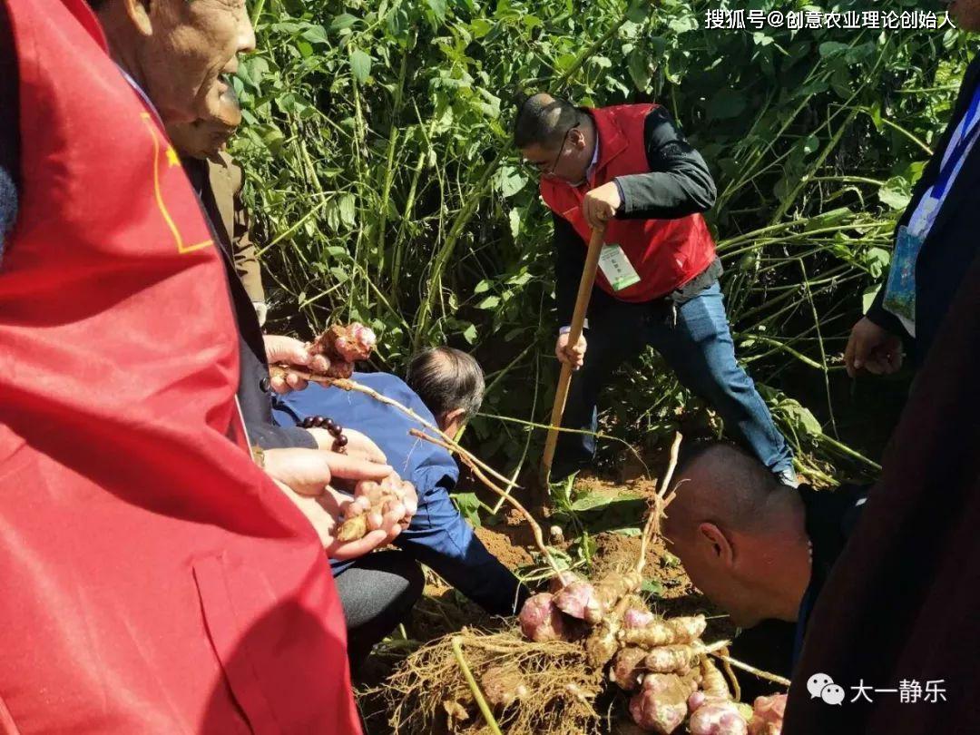 武卫东,吴剑珍,杜锁清,宋爱莲,王文轩,王泽宽,王北婴,刘兆普,郝效民