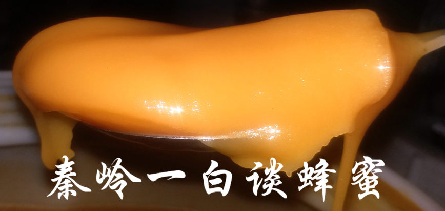 一瓶真正的天然土蜂蜜,如何才能逃出罗素悖论的怪圈? 一瓶真正的天然土蜂蜜,如何才能逃出罗素悖论的怪圈?