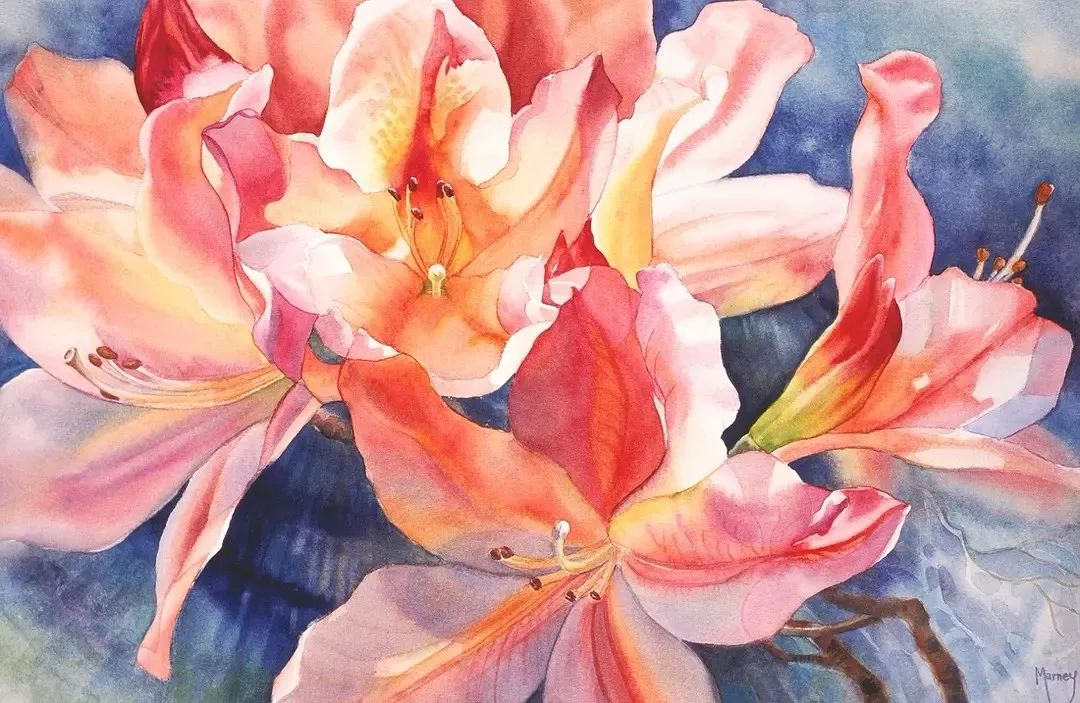 她画的超写实水彩花卉美到窒息