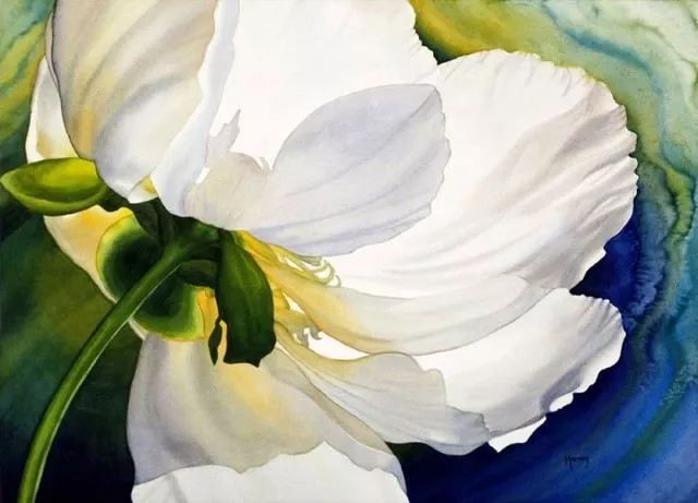 她画的超写实水彩花卉美到窒息