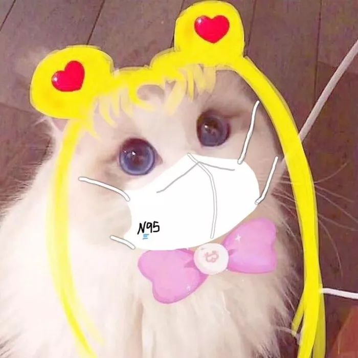 口罩头像表情包第二波愿百毒不侵