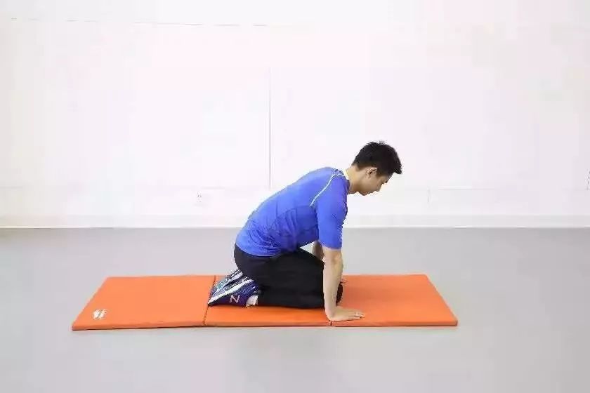 跪倒后撑俯撑拉伸俯撑收腹单膝跪姿推举双人深蹲民主路小学室内运动