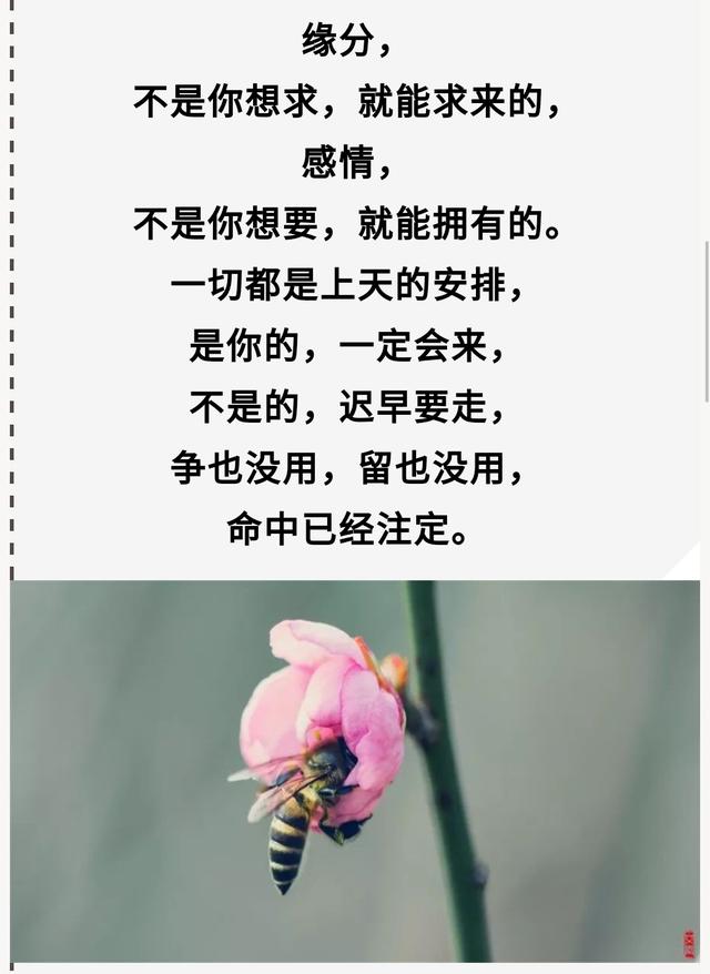 命中注定遇见你,相遇,命中注定的缘分