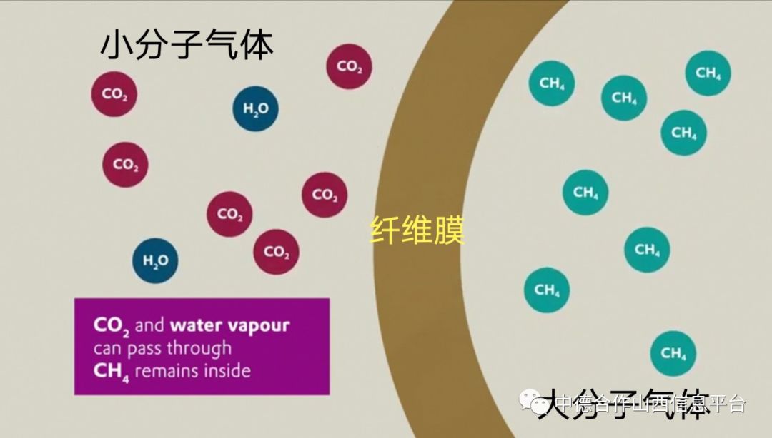 学员资讯纤维膜气体分离介绍