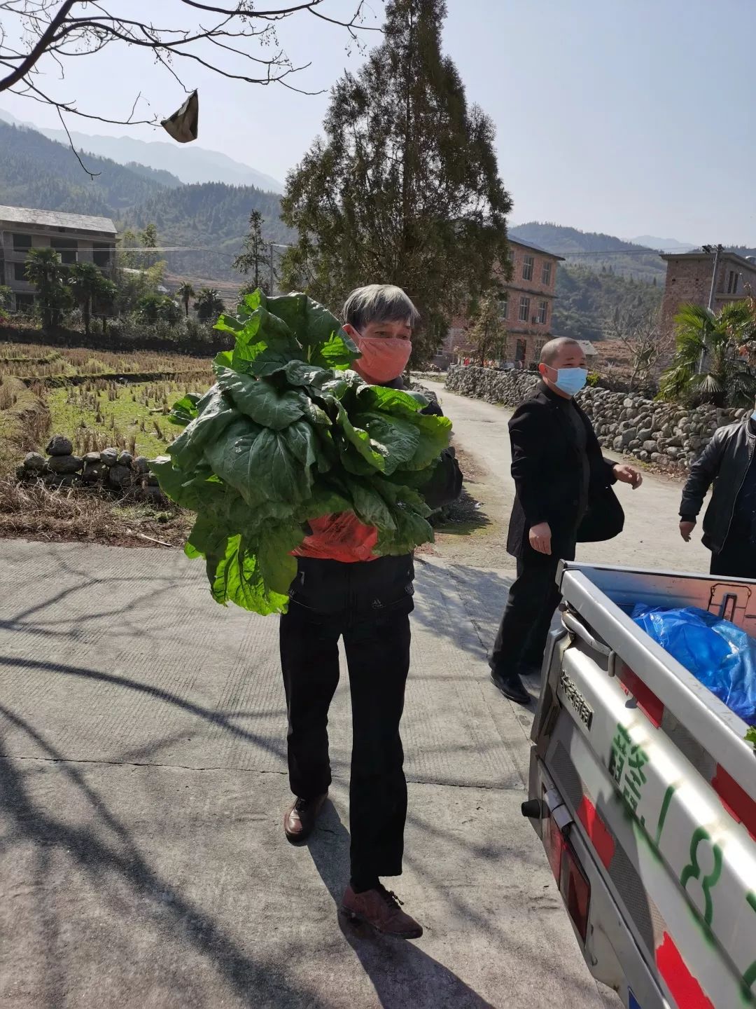 【防疫暖心记】麻田办事处东江村村民们向芦溪县医院捐助400斤蔬菜