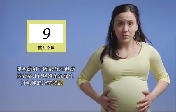 十月怀胎有多辛苦,10张图带你了解“孕育全过程”,生命好神奇-搜狐大视野-搜狐新闻