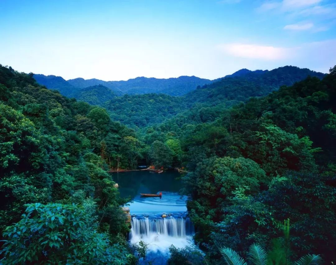 万绿丛中一点黄-河源万绿谷的油菜花海