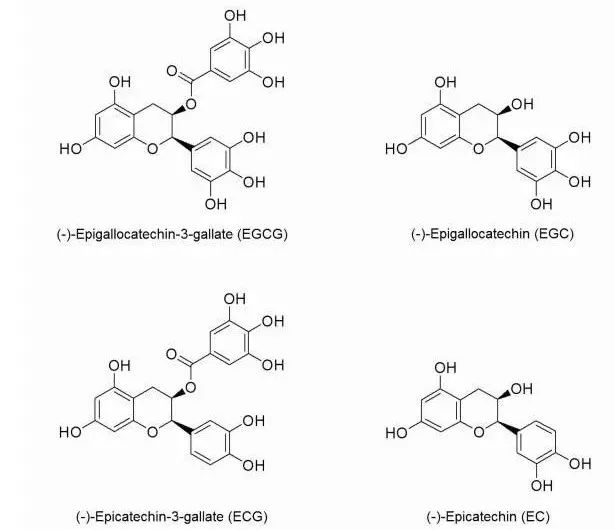 儿茶素结构式图片