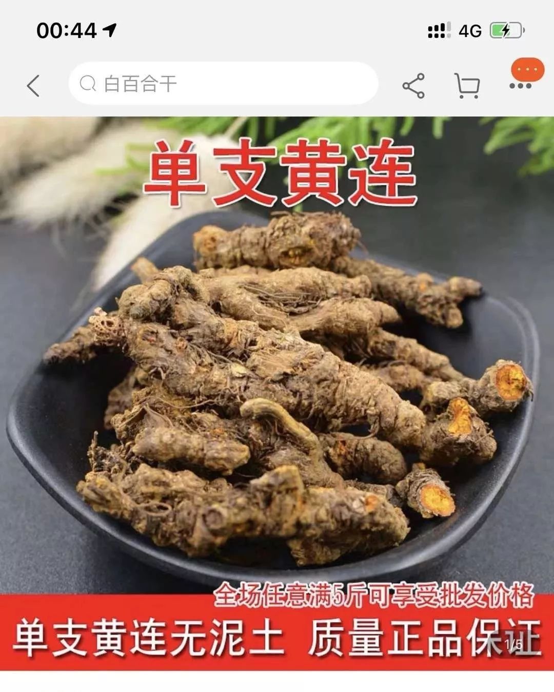 双黄连大半夜卖断货别抢了世界卫生组织到目前还没有用于预防和治疗的
