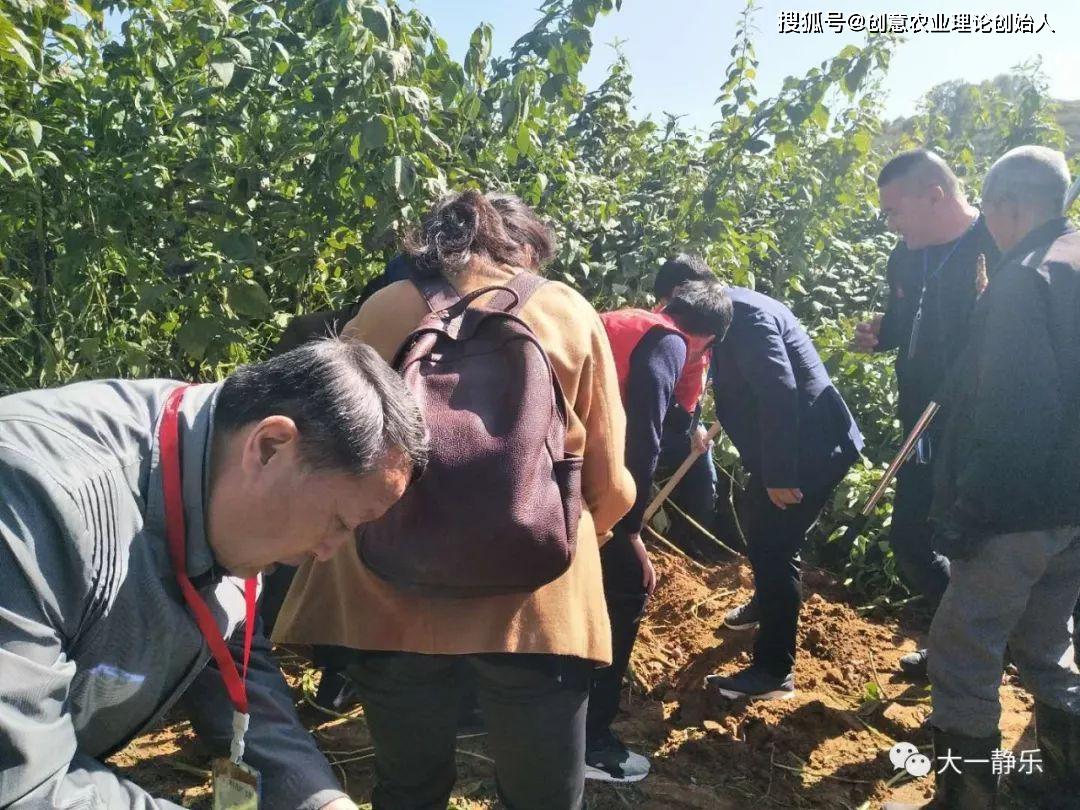 武卫东,吴剑珍,杜锁清,宋爱莲,王文轩,王泽宽,王北婴,刘兆普,郝效民