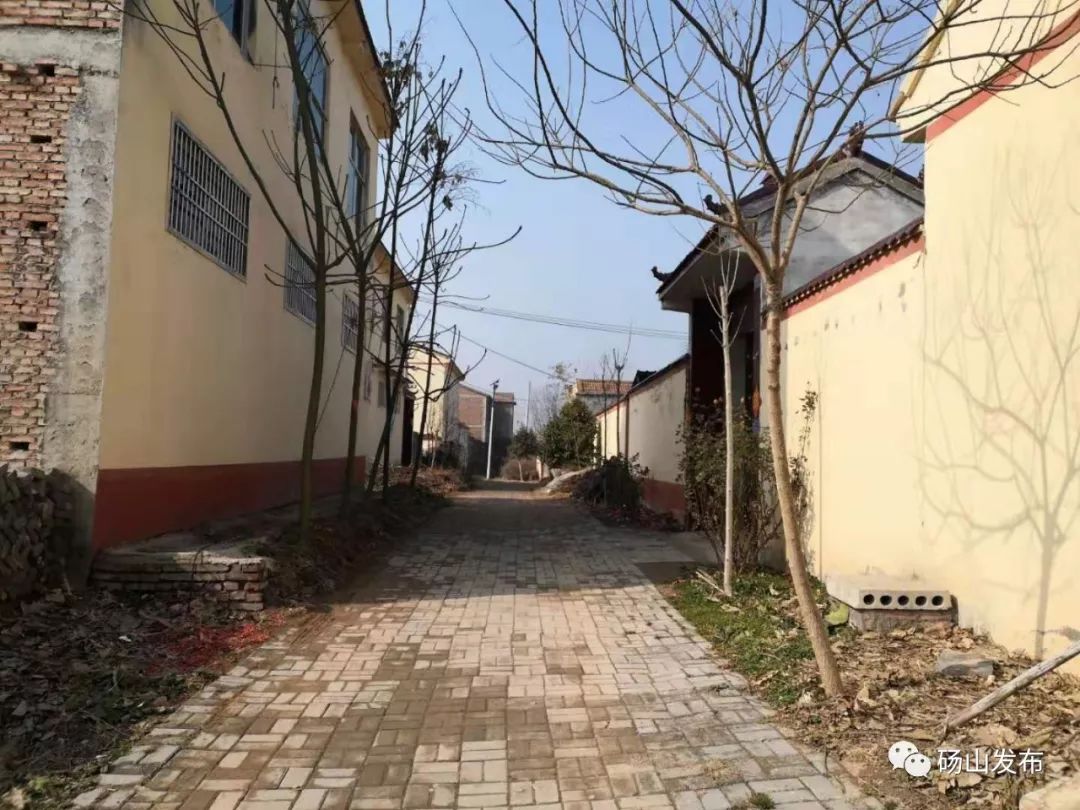 周寨镇:内外联防 打赢疫情防控狙击战_砀山县