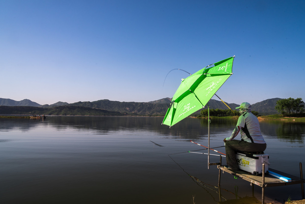 加快频率让渔获大增,冬季钓鲫鱼,高频率钓法不可少_钓鱼人