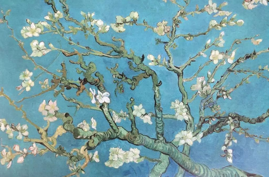 像梵高的杏树花,自画像,向日葵,鸢尾花一共画了十万多张梵高的仿制画.