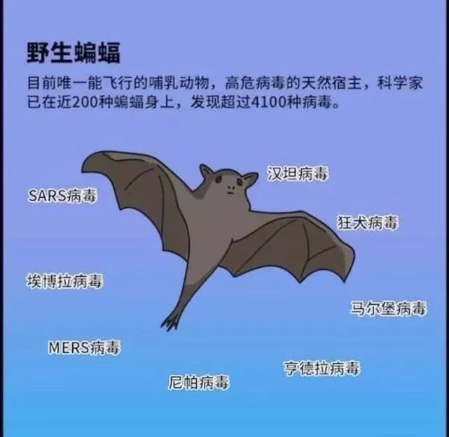 超过100种病毒,包括sars病毒,埃博拉病毒,mers冠状病毒,亨德拉病毒