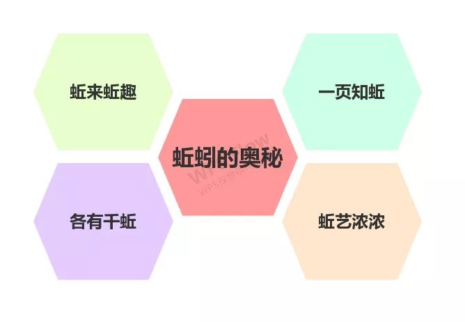 班本课程小一班蚯蚓的奥秘