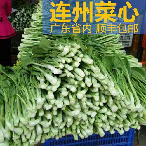 清远连州迟菜心孕育一年中满满的爱10斤大份量只要这个价