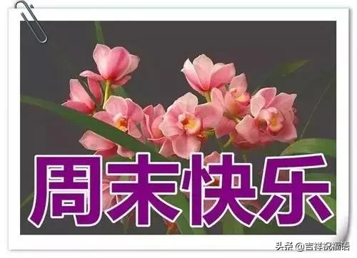 2月2日周未早上好祝福温馨语录周未清晨问候图片表情