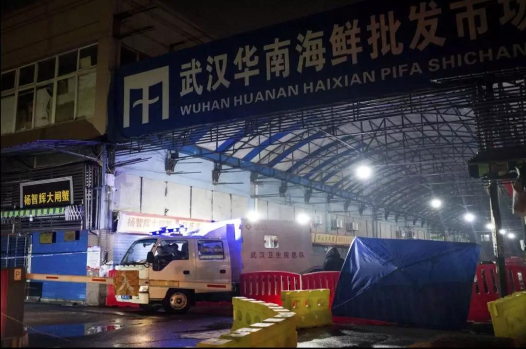 武汉华南海鲜市场罕见照片触目惊心