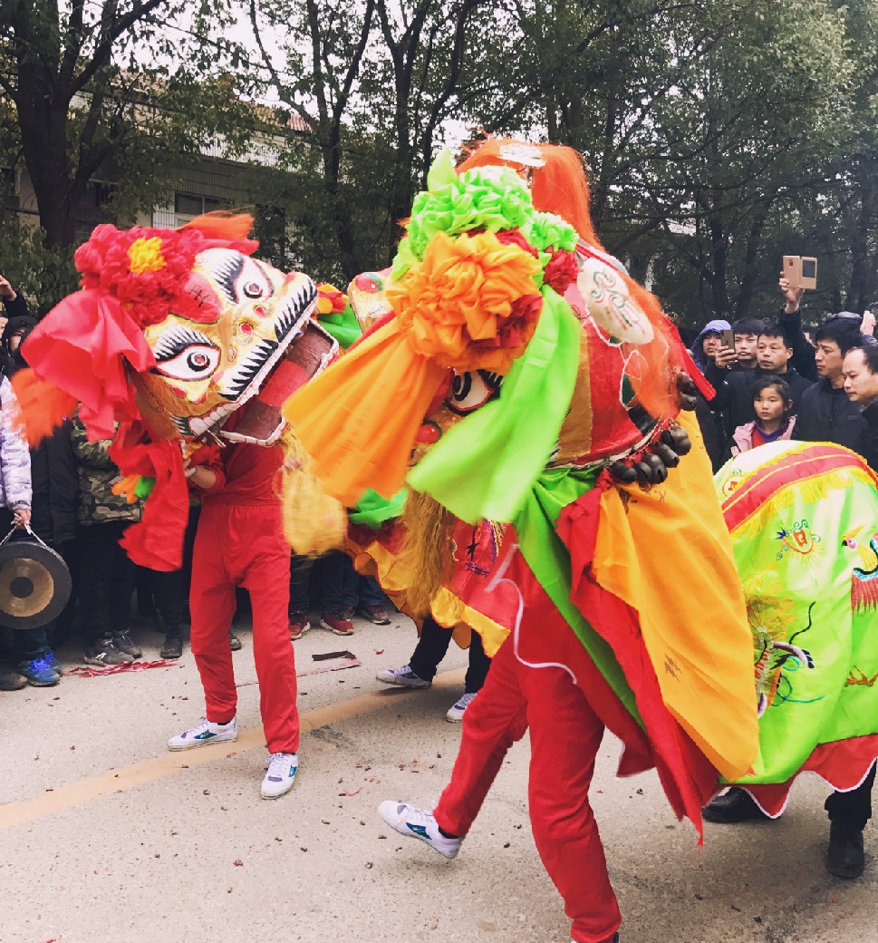 原创待到疫情散去我们一起去武汉黄陂探索僵狮子千年不衰之谜