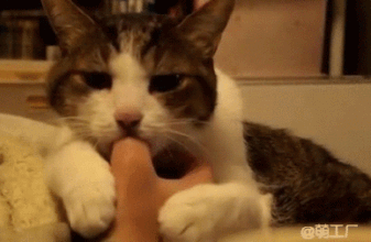 337_220gif 动态图 动图