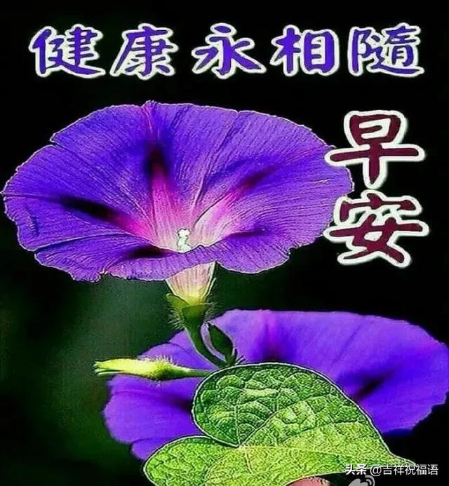 清晨非常漂亮早上好表情圖片帶鮮花2020最新版早上好表情圖片