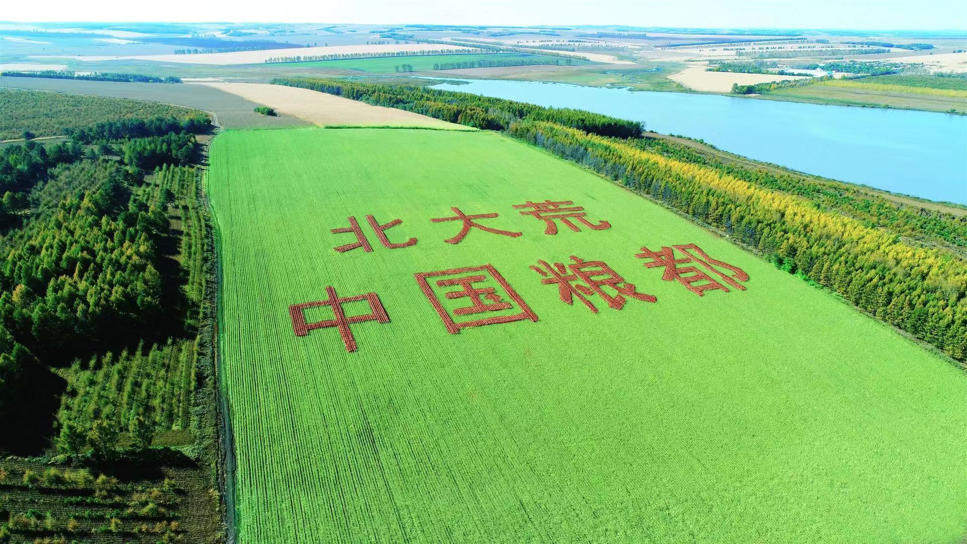 北大荒保生产保供应稳物价用实际行动彰显国家队担当