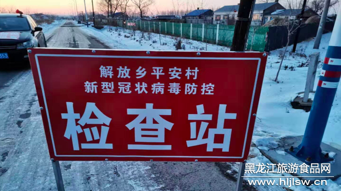 依安县解放乡平安村党支部多措并举防控疫情