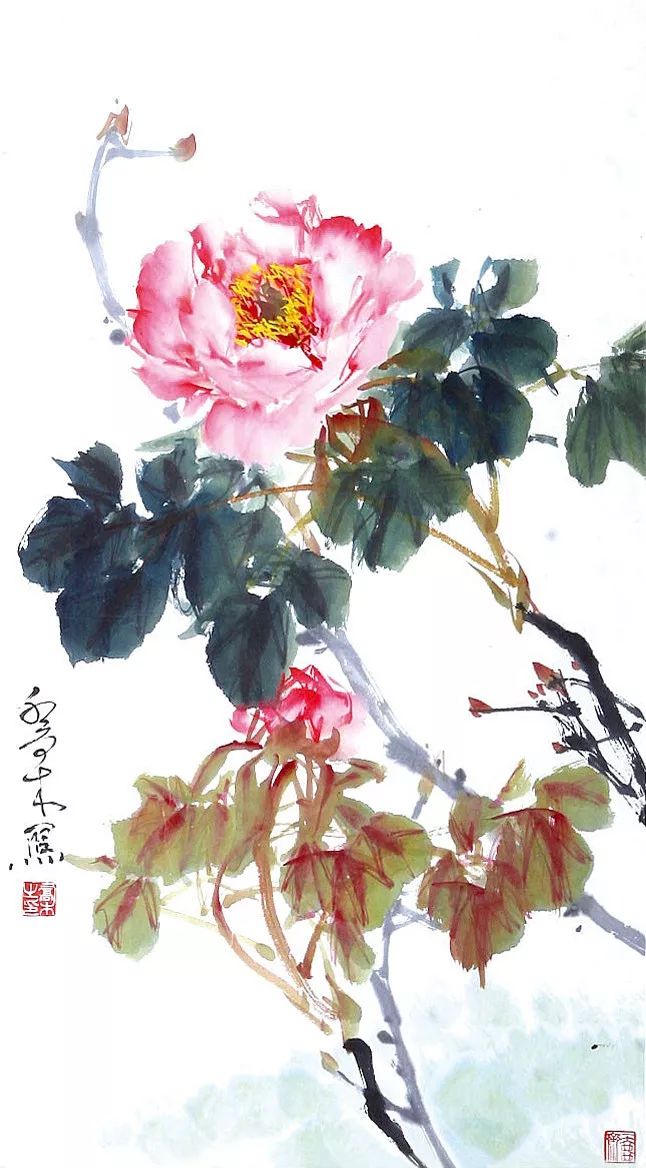 乔木画牡丹乔木画牡丹乔木画牡丹乔木画牡丹乔木画牡丹乔木画牡丹乔木