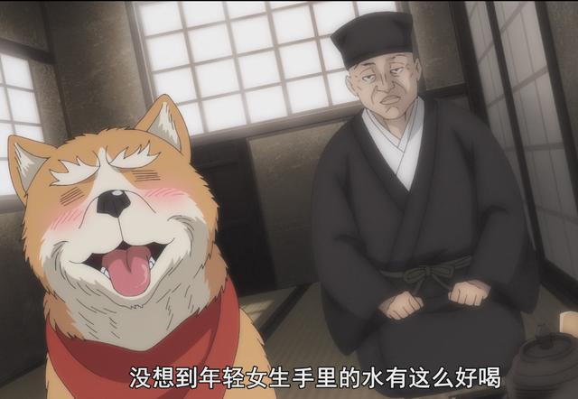 织田肉桂信长大将军转世成狗难以抵挡少女的投喂